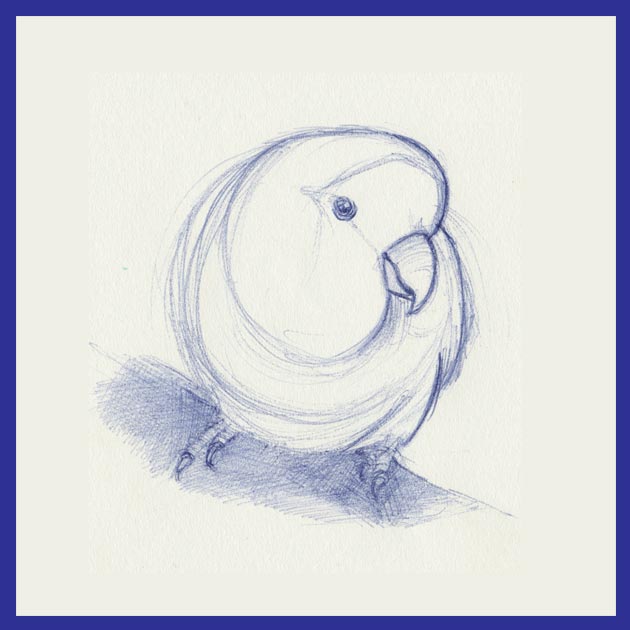 Tumb tekening van pili-pili
