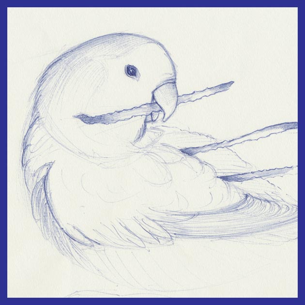 Tumb tekening van pili-pili