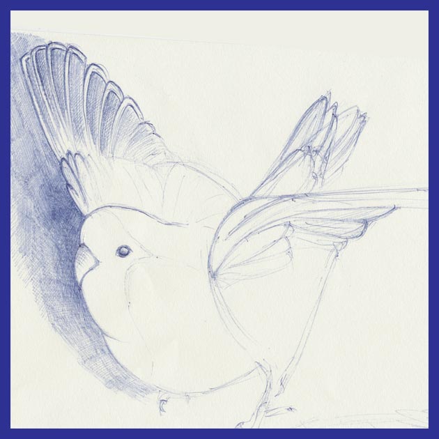 Tumb tekening van pili-pili