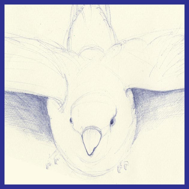 Tumb tekening van pili-pili
