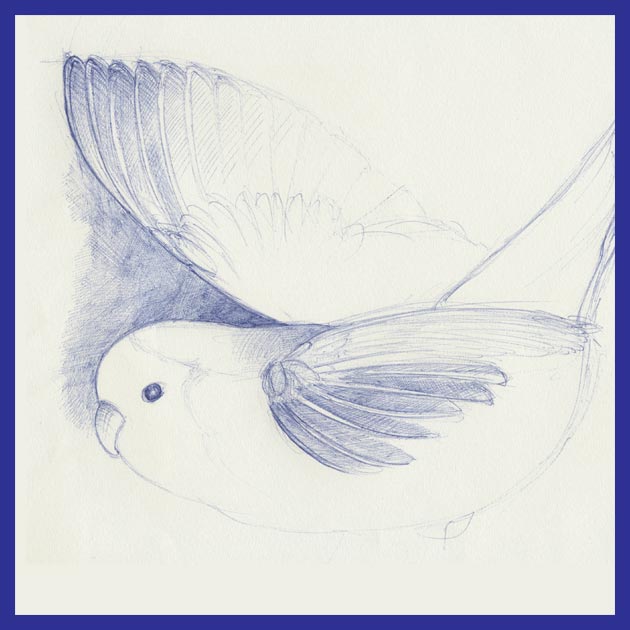 Tumb tekening van pili-pili